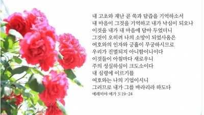 쑥과 담즙의 시간을 지나, 다시 아침을 기다리며