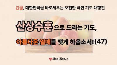 산상수훈으로 드리는 기도, 아름다운 열매를 맺게 하옵소서!(47)